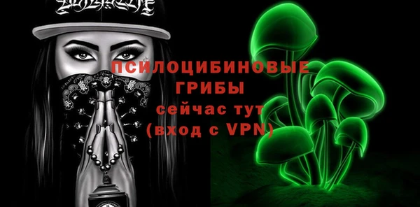 молекула духа Горнозаводск