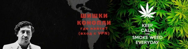 тгк Вяземский