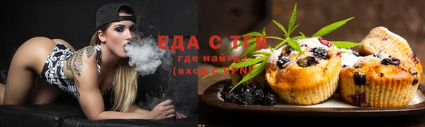 тгк Вяземский