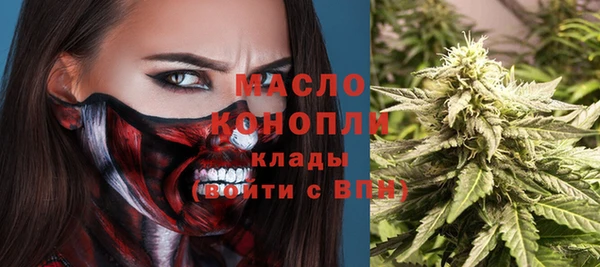 тгк Вяземский