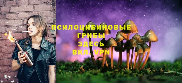 ALPHA PVP Вязьма
