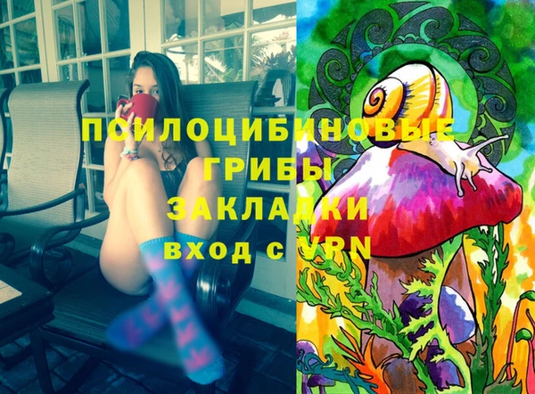 тгк Вяземский